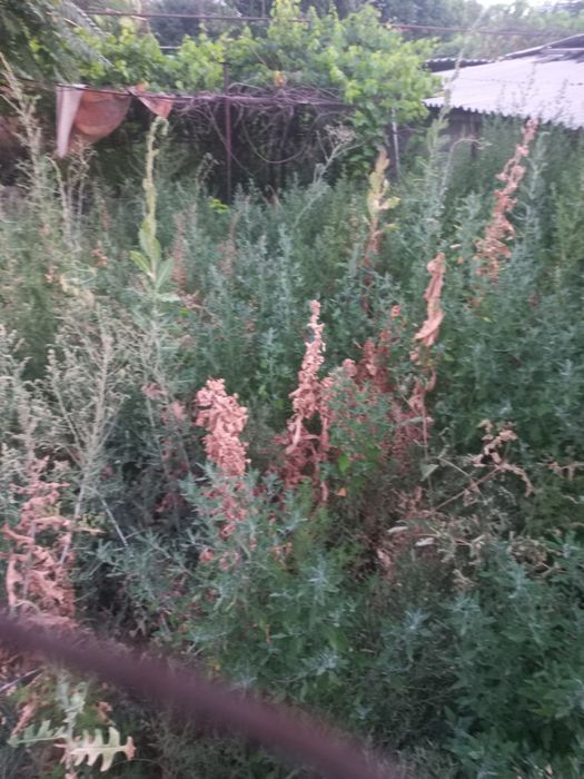 Срочно продаётся дом!