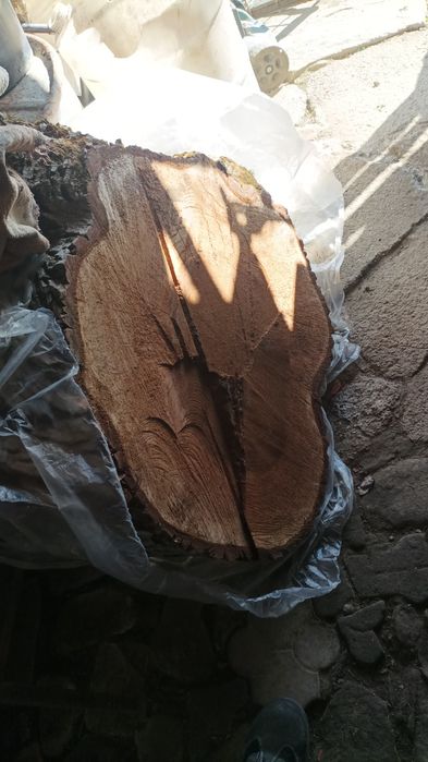 Lemn nuc pentru prelucrare masuta cafea si foastan taiat de nuc 5cm+-