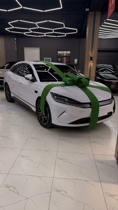 Byd qin L ev 545 km
