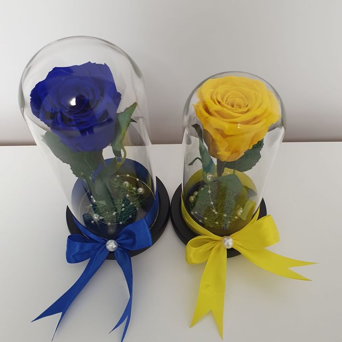Trandafir criogenat conservat in cupola de sticla