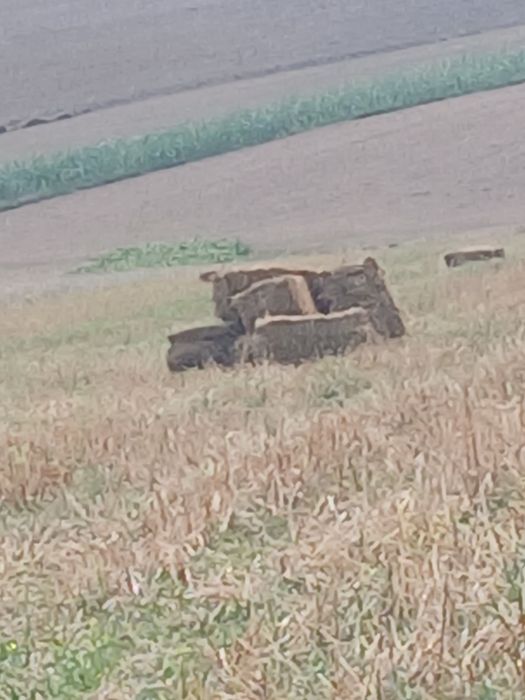Vând baloți din paie de ovăz  neirbicidate.