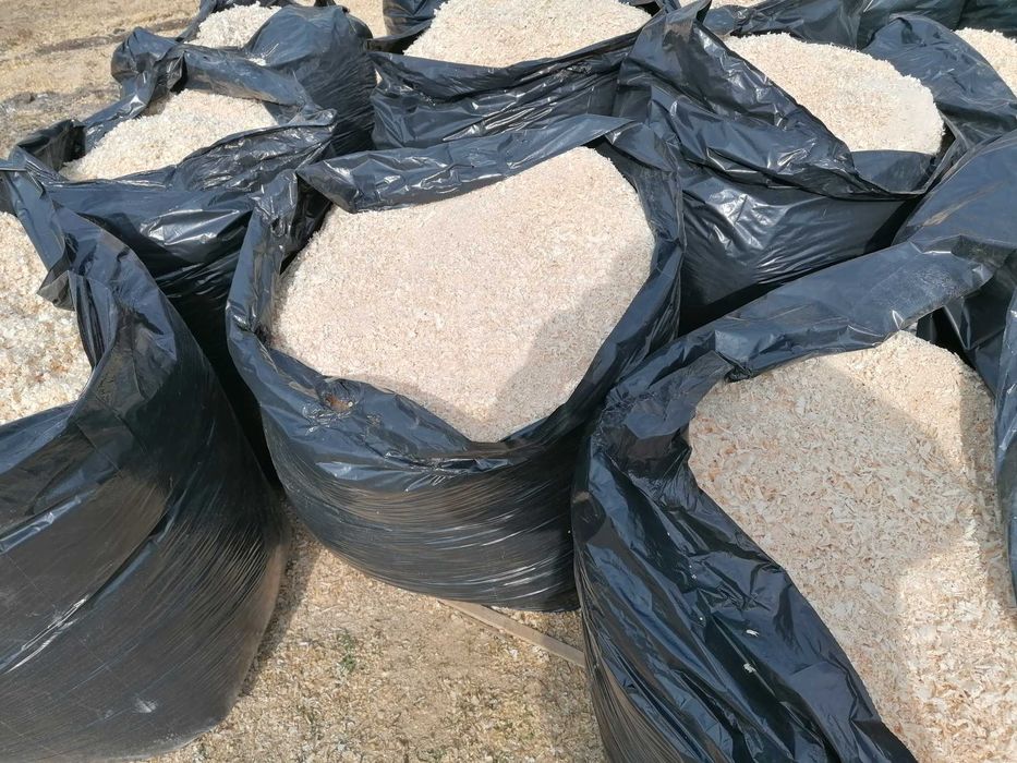 Vand  rumegus de brad