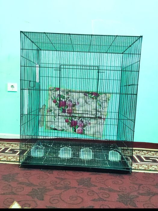 Kletka katta kletka qafas karella Nerazluchkalarga mo'jallangan qafas