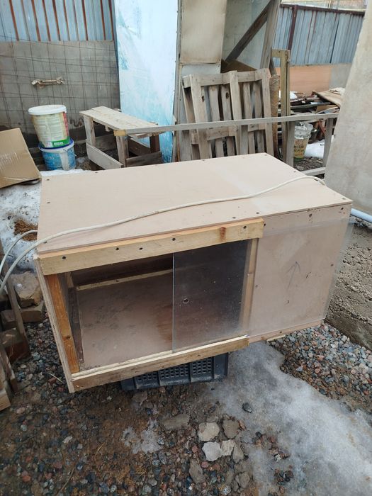 Брудер для цыпляты