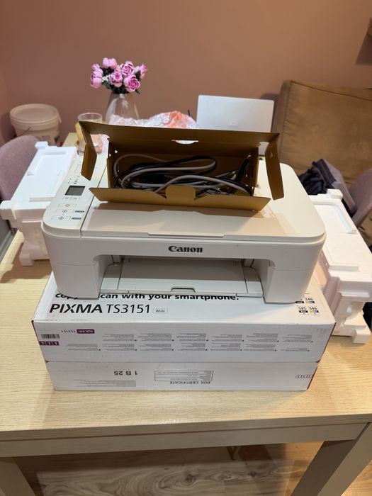 Принтер Canon PIXMA TS3151 Al- In-One