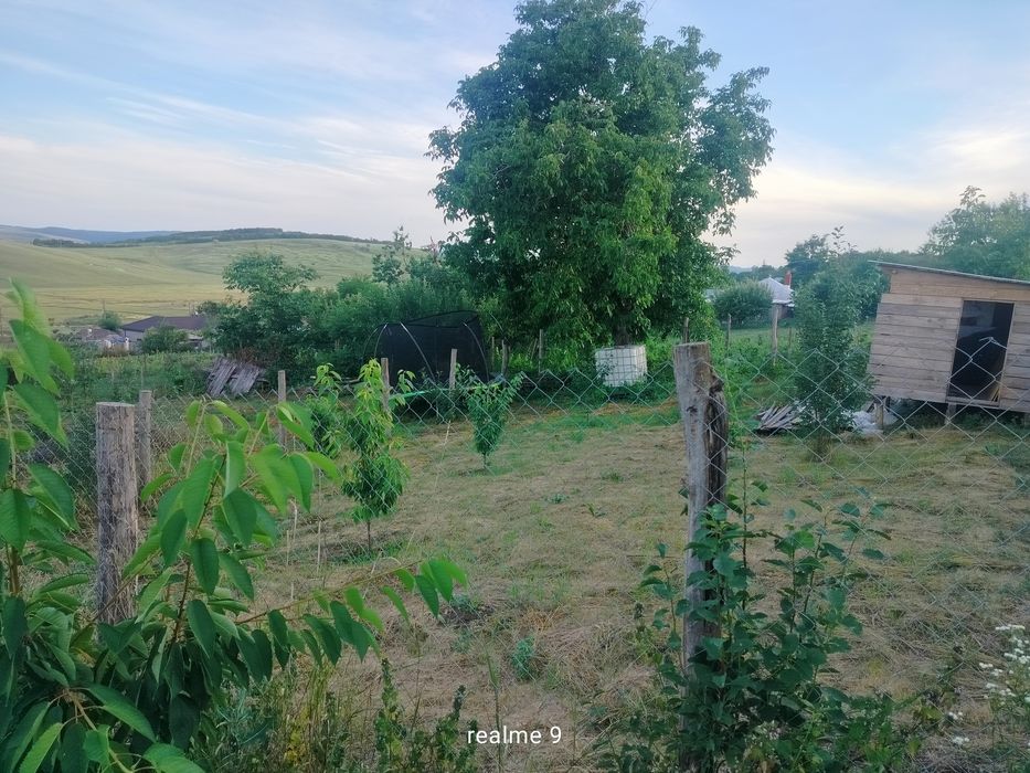 Teren intravilan în loc. Buznea