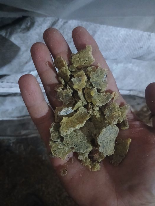 Сафлор ,горох  зерноотходы, пшеница, чечевица, соя,рапс,