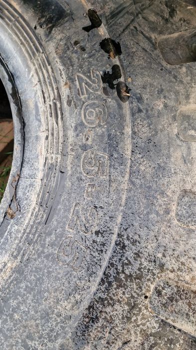 Погрузчик ризина