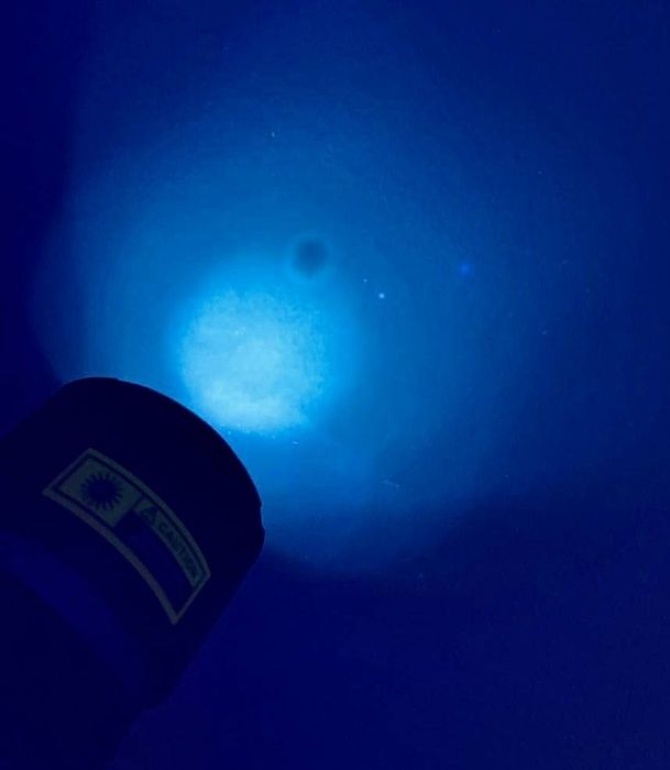 Сканер для машины