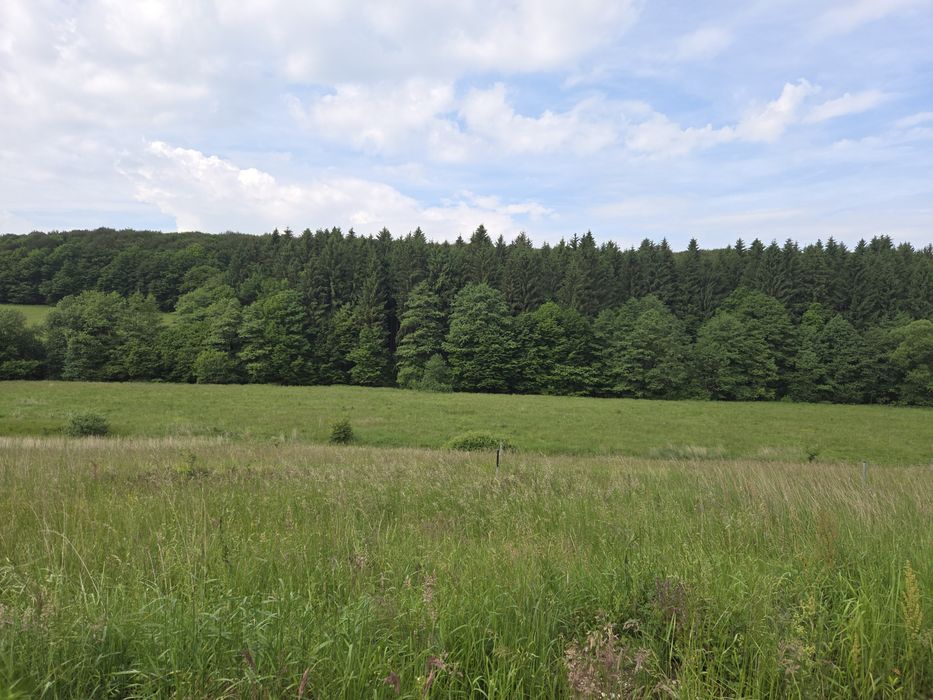Teren de vânzare in localitatea Vlădeni comuna Dumbrăvița județul Brașov - Vedere 5