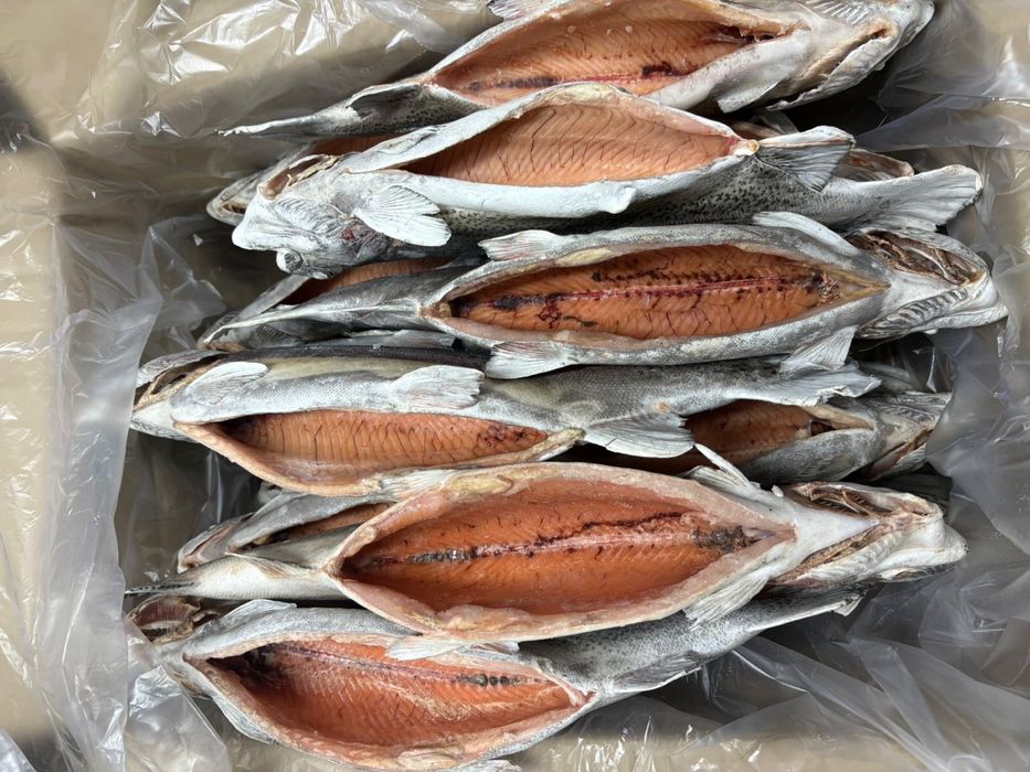 Продам Радужная форель