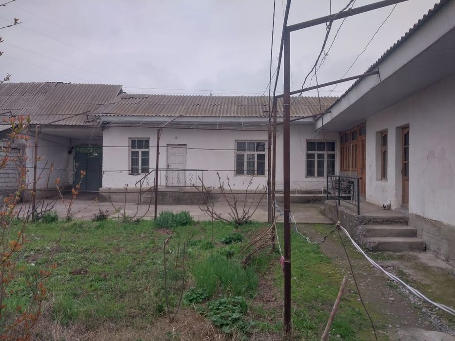 Yangibozor sotik 12.000mingdan yaxwi maxalla