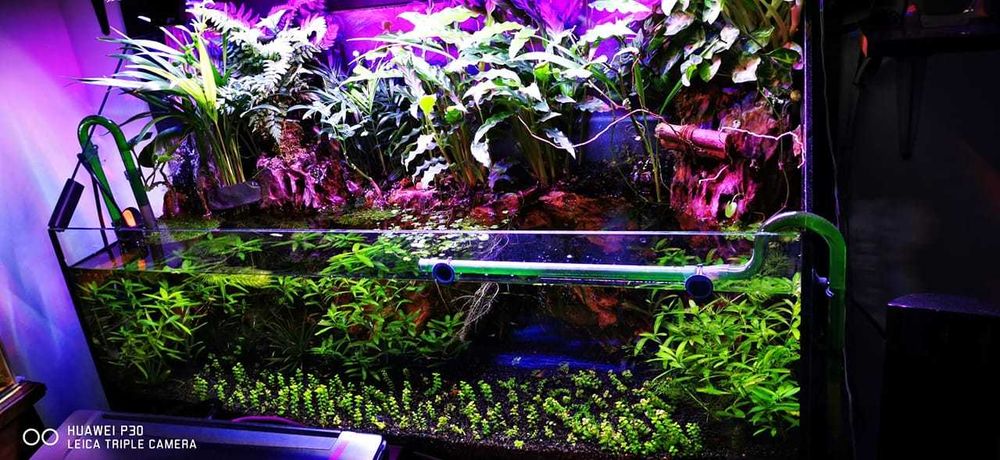Lampa pentru acvarii plantate