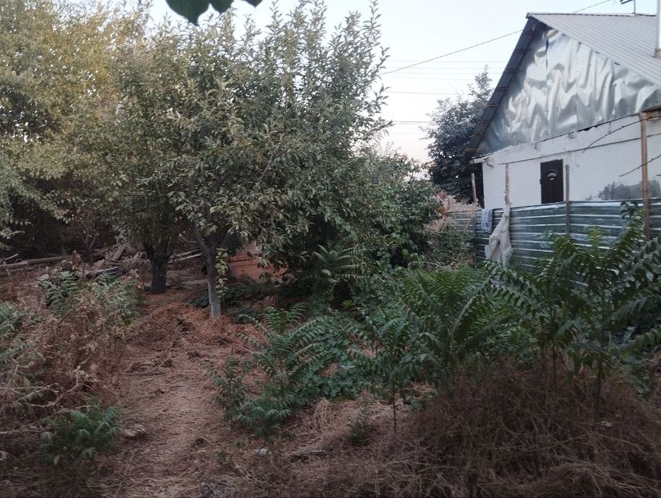 Sotiladi: Toshkent viloyati, Chirchiq shahri, Oqqovoq bo‘zida 3 sotix