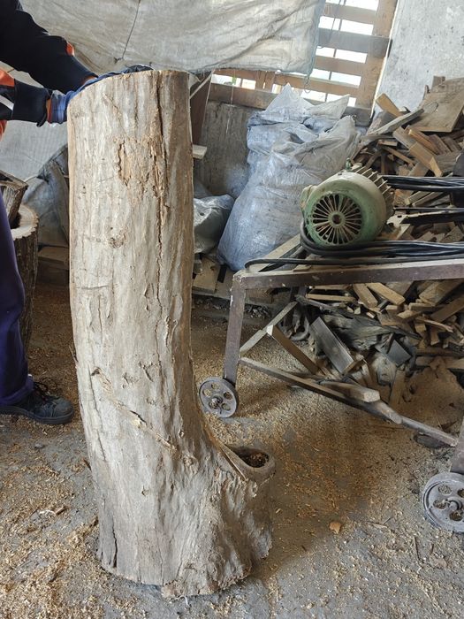 Хралупа различни видове.