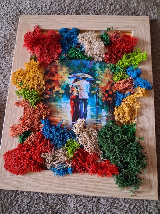 Картини от скандинавски мъх.