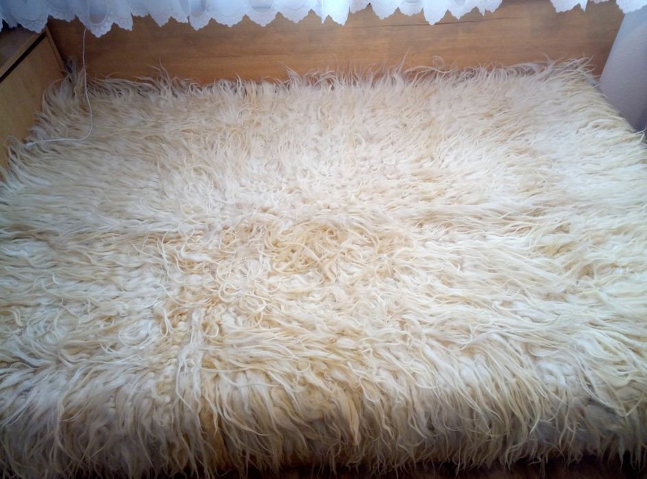 Родопско кичено халище