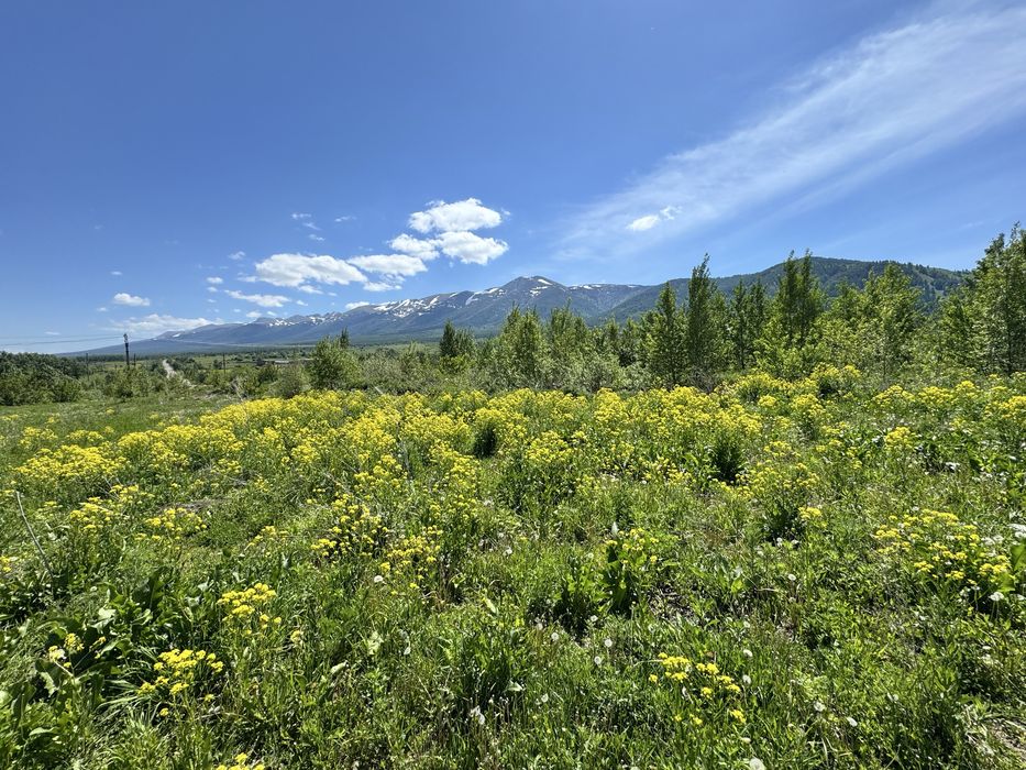 Продам земельный участок