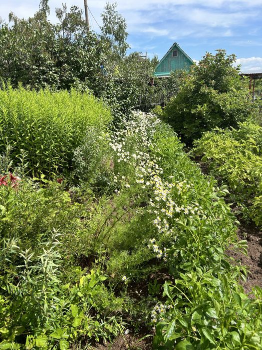 Продам Дачу на Уралочке