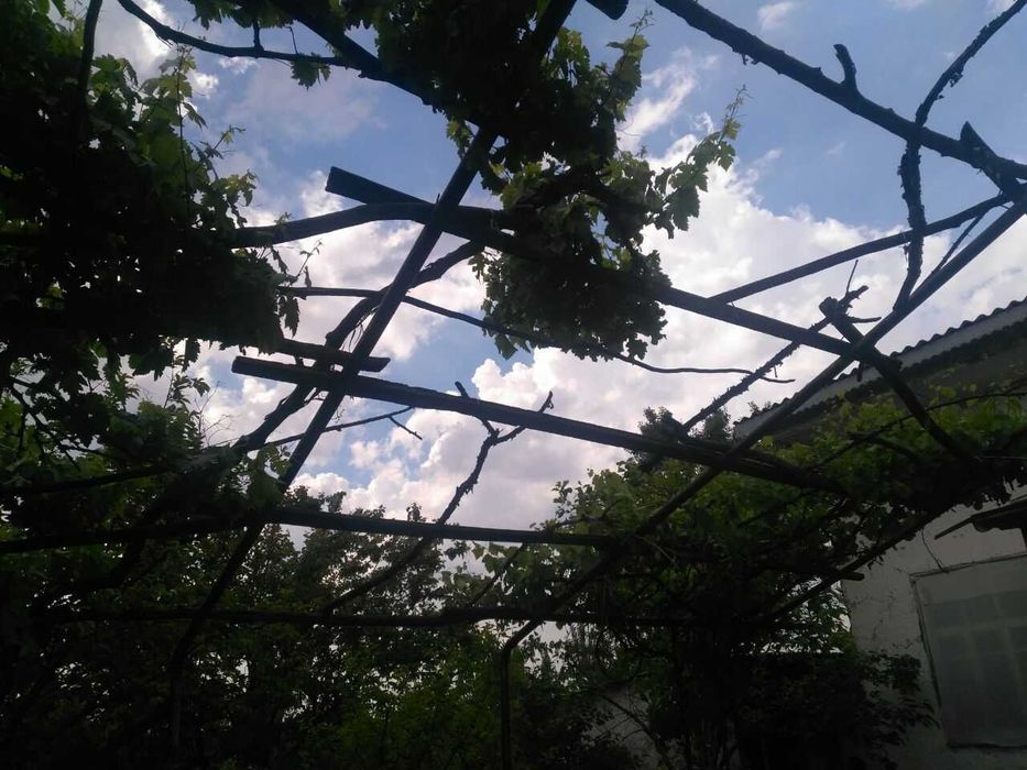 Yakkabog` tumanida 17 sotixli hovli sotiladi