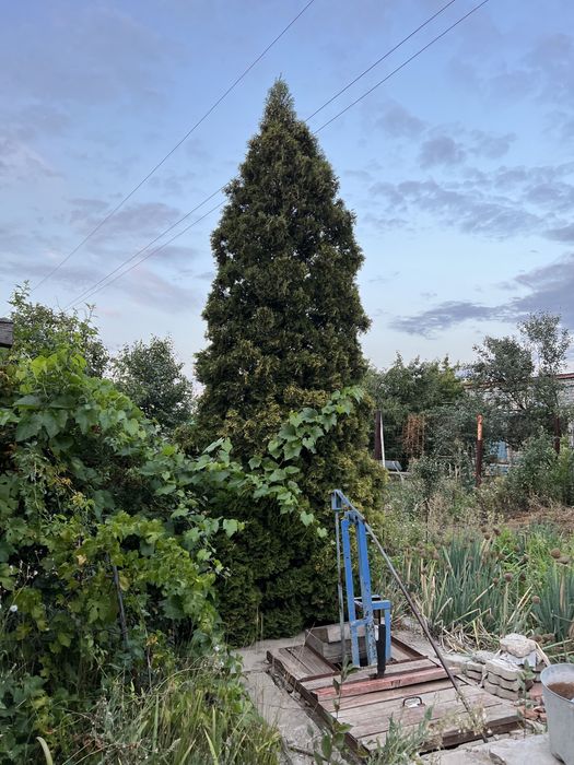 Дача в городе. Телецентр!