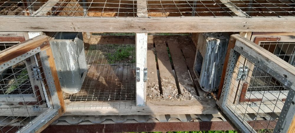 Клетки для кроликов