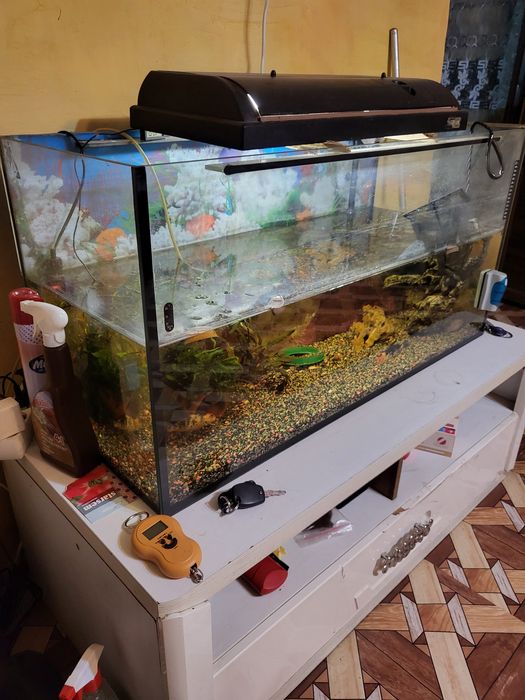 Vând acvariu 390 l