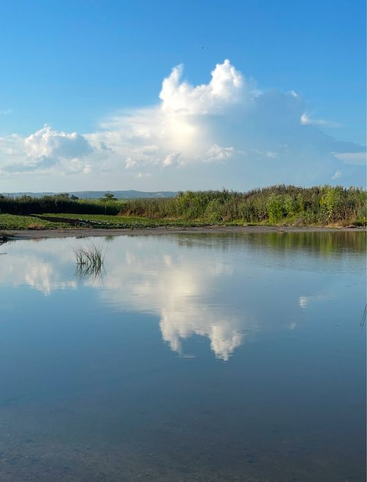 Продава се Парцел в Бургас, Възраждане - 28161 кв.м за 12 €/кв.м - Снимка #4