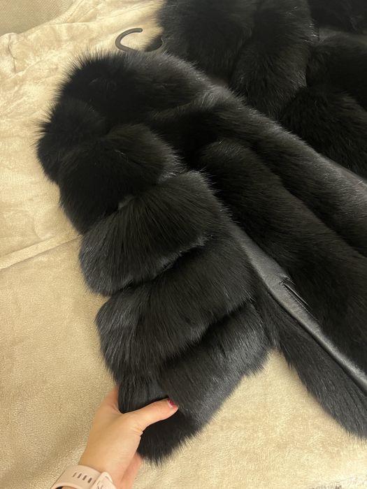 Haina blana vulpe polara