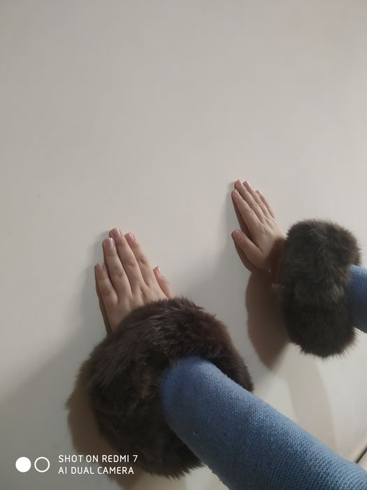 Shalgovi jaga jañi menen paltonnin shalgovi jagasi