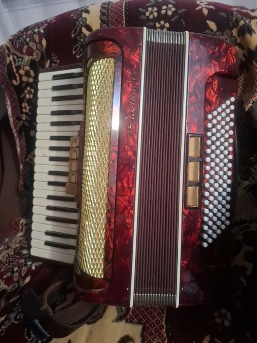 Acordeon +muzicale de schimb