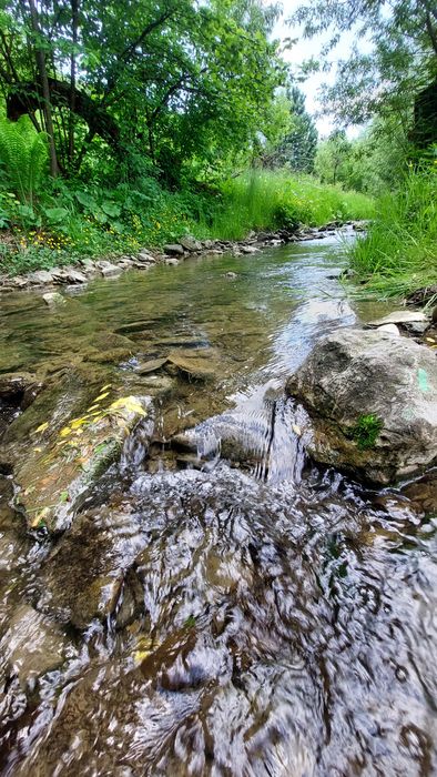 Inchiriem cabana la munte, 20km Alba Iulia- Apuseni