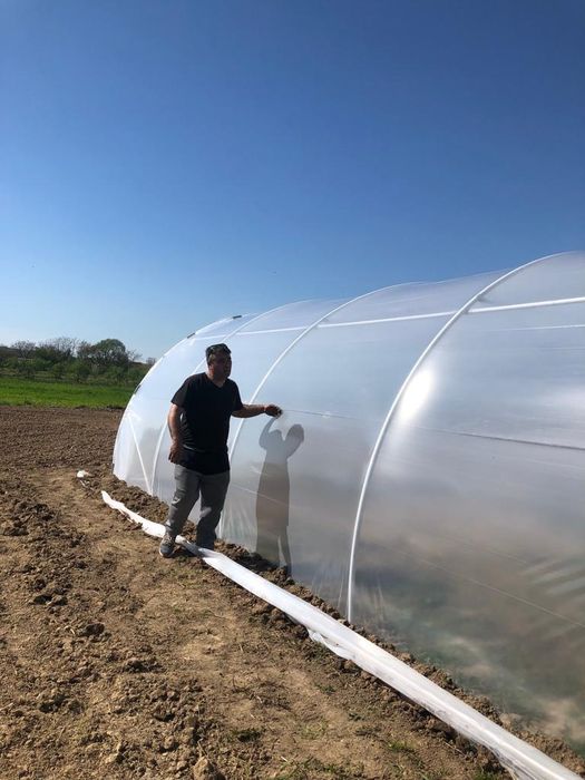 Solarii legume, solar gradina