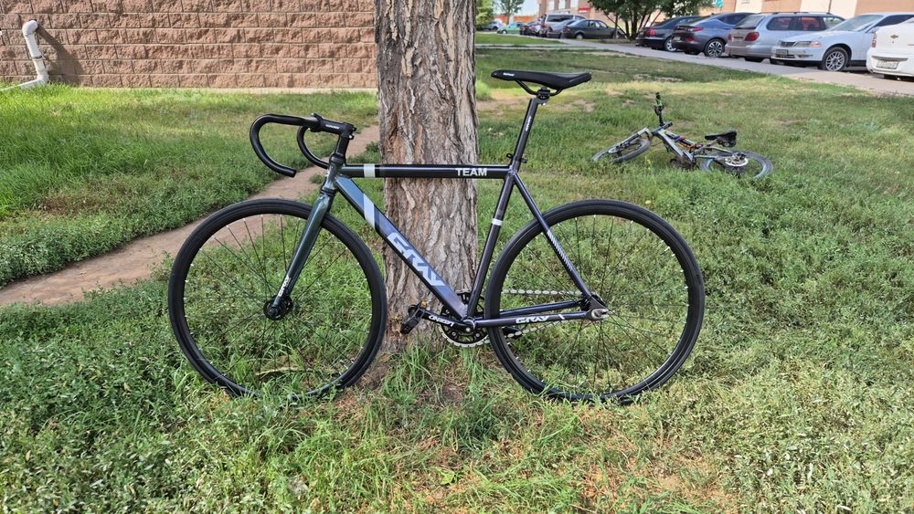 Fixed gear gray team