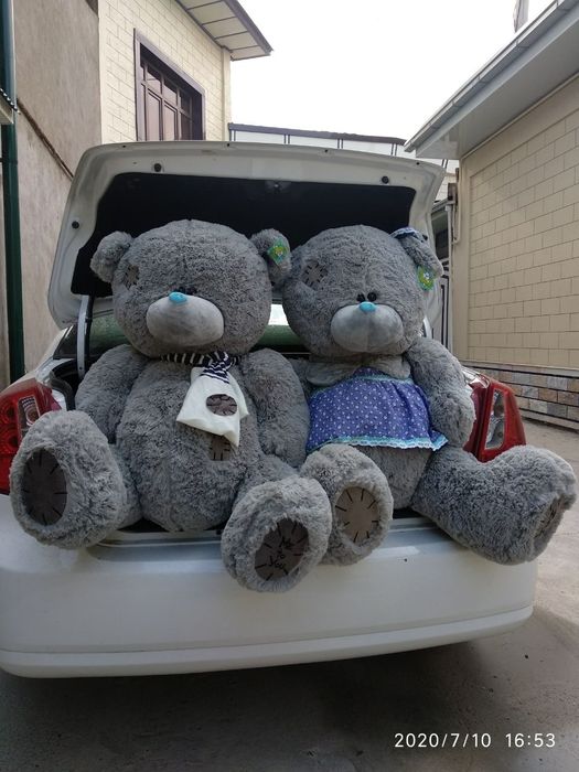 Teddy+Teddi Bonusga Orginal 100%