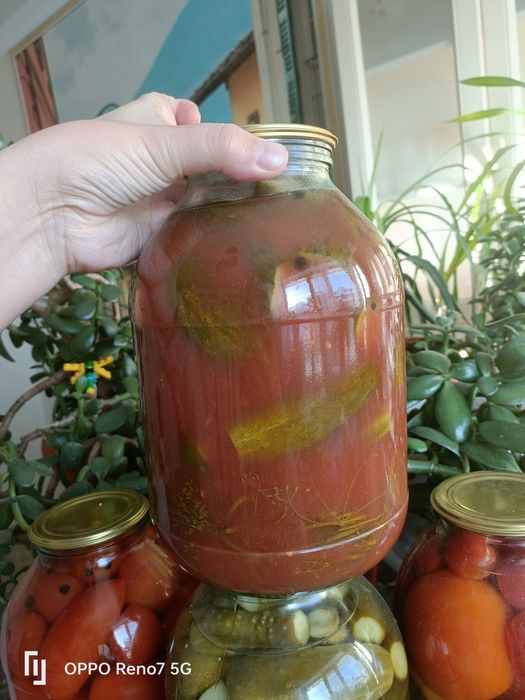 Соленые огурцы,помидоры