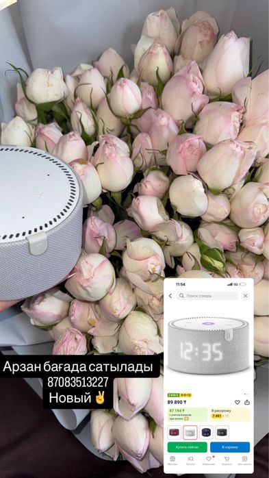 Алиса срочно сатамын