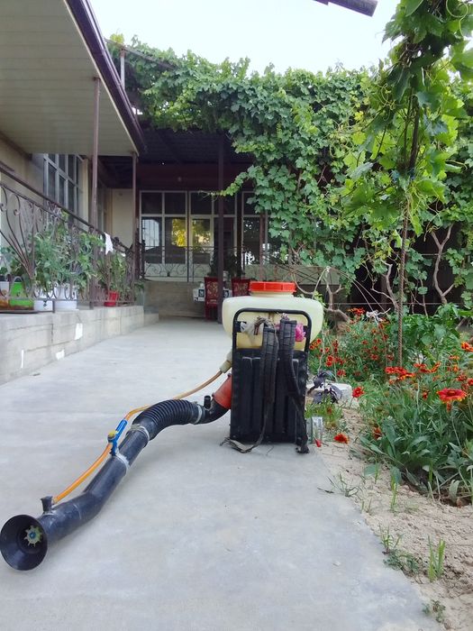 Dori  Sepadigan Aparat