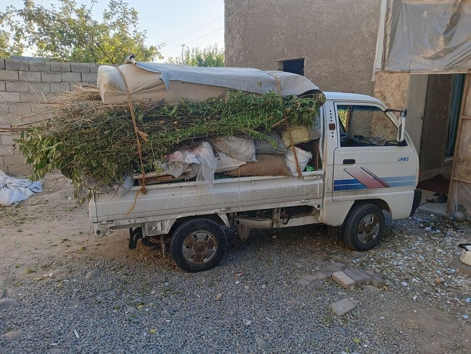 Мусор олиб кетамиз Вызов мусор