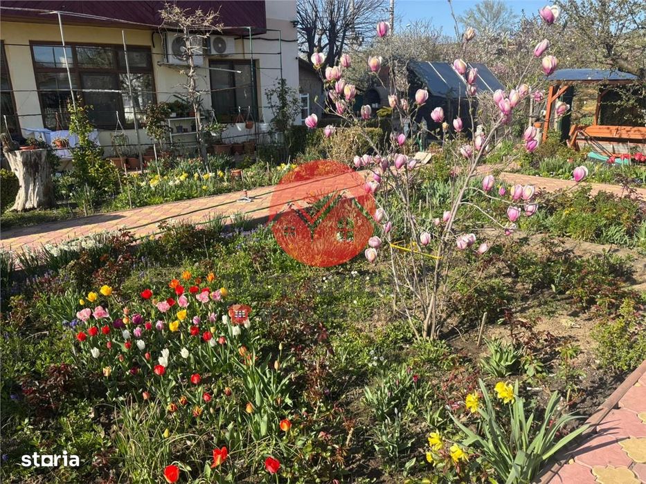 Afacere la cheie, Pensiune Tulcea 9 Mai cu deschidere la balta