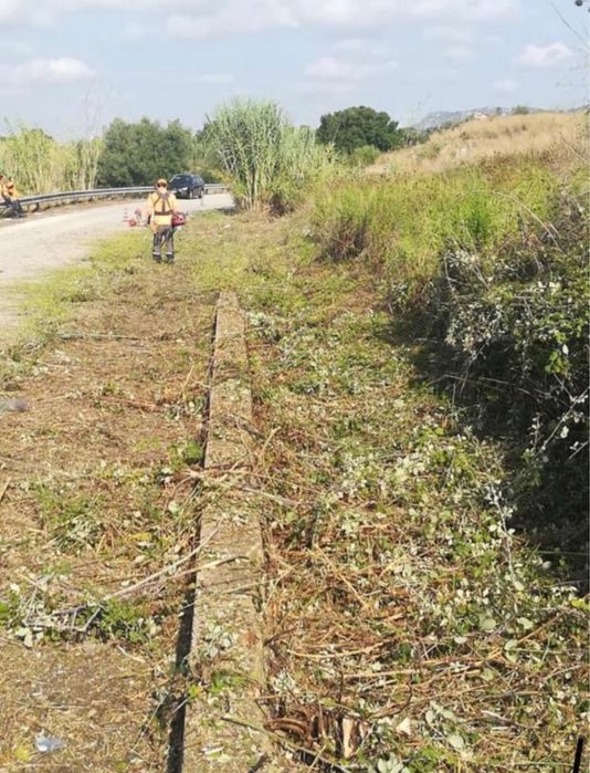 Curatare gradini