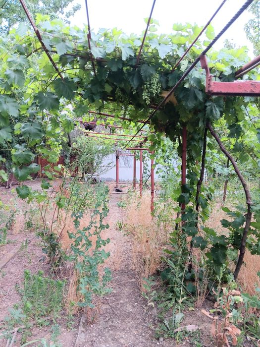 Продава се Парцел в с. Пелишат, Област Плевен - 1500 кв.м за 7 €/кв.м - Снимка #8