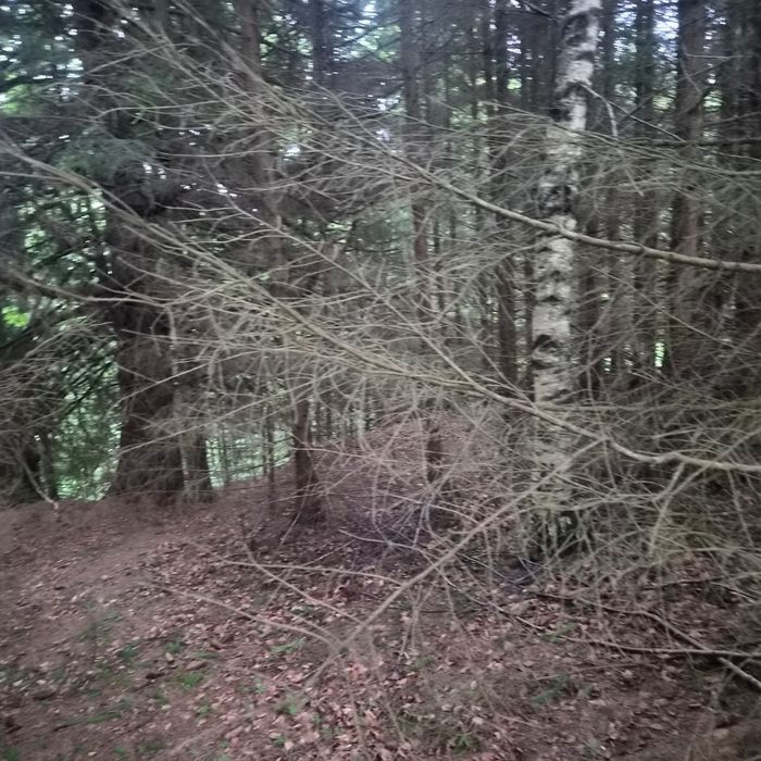 Teren de vanzare in Râusor
