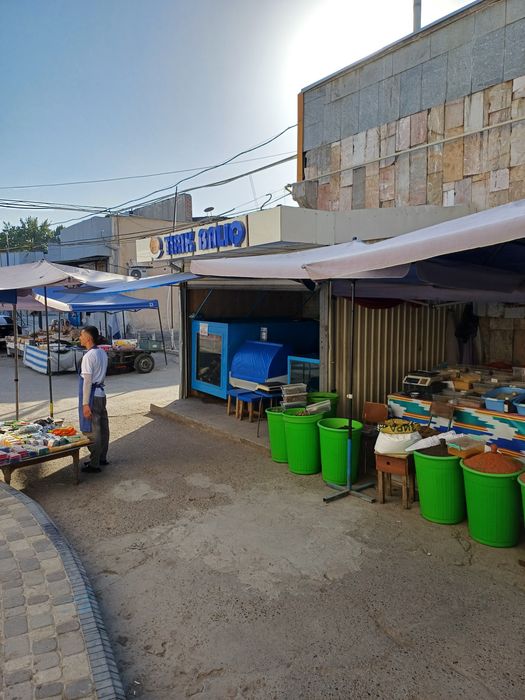 Tirik Baliqlar  Sazan tolstolobik amur pyostri v.h