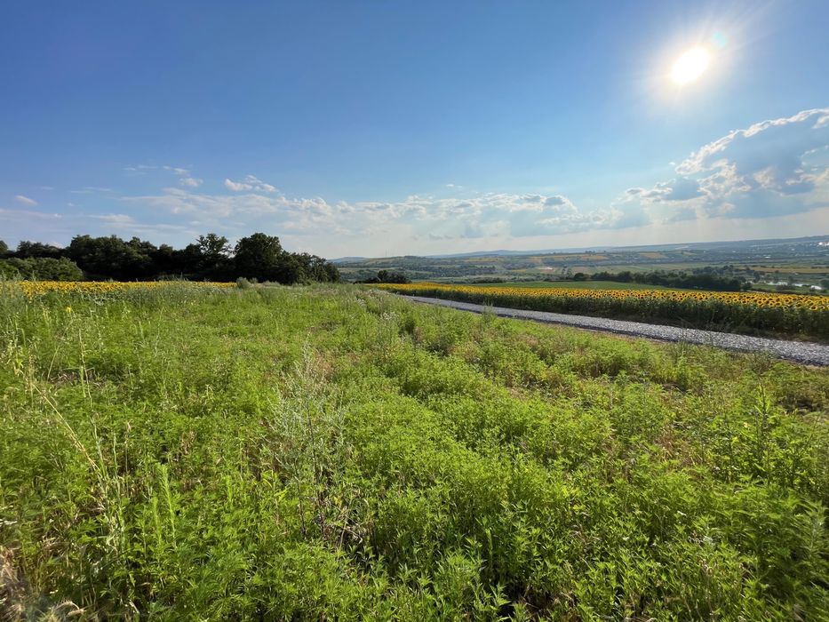 Teren intravilan ,Barnova ,Iași, 834 mp, priveliste panoramica deosebita,langa padure!