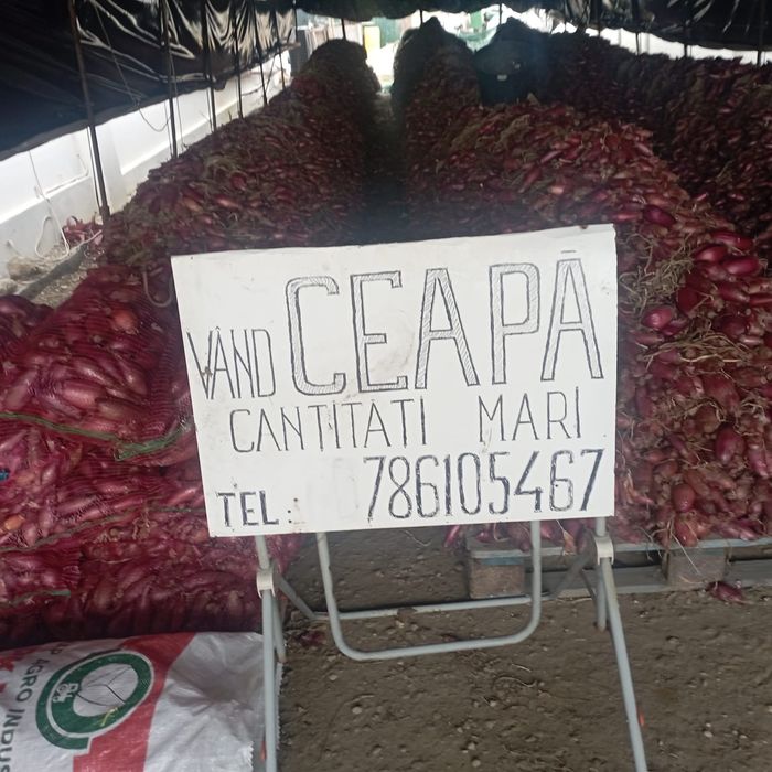 Ceapă roșie de Buzau