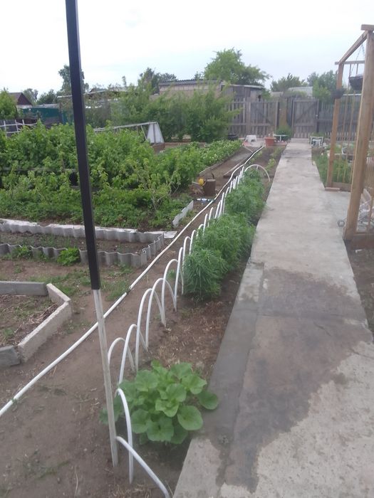 Продам дачу Сад Здоровье