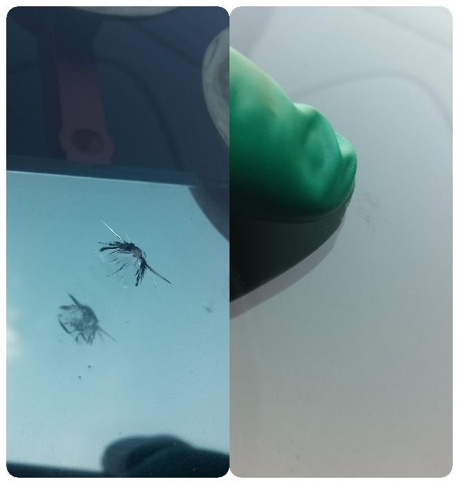 Ремонт на автостъкла - безплатно посещение на адрес за гр.София