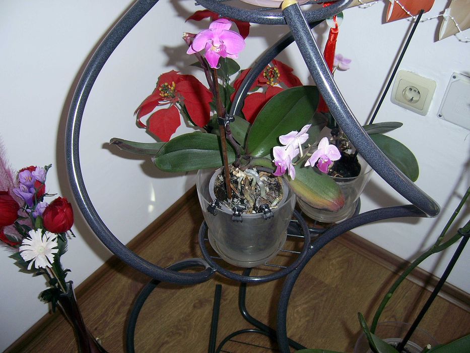 дигитален фотоапарат Praktica DCZ 6.3