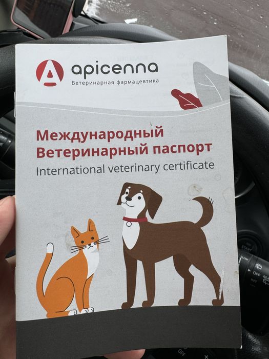 Алабай щенок 2-3 месяца